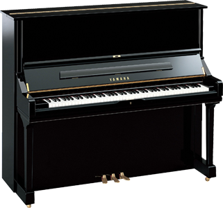 Bristol Piano Teacher